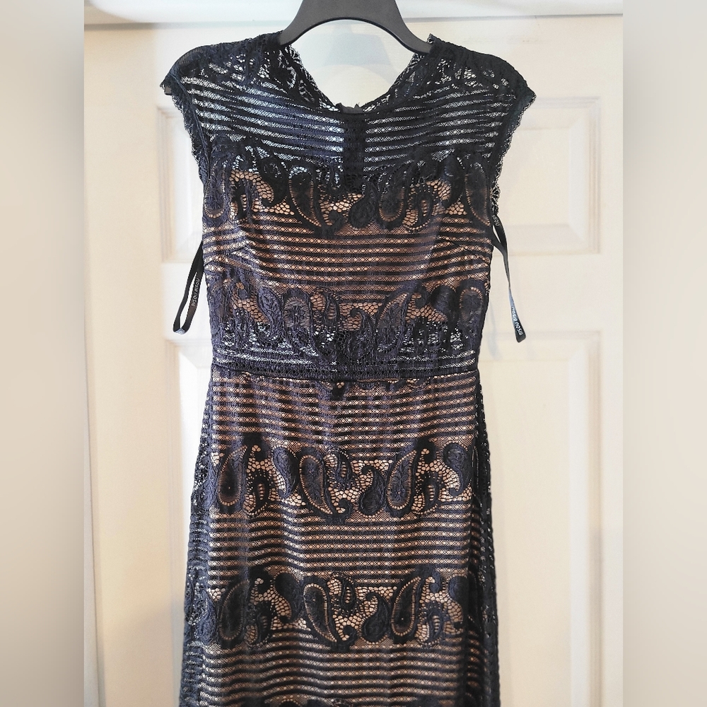 A Black sheer /nude Bisou Bisou dress